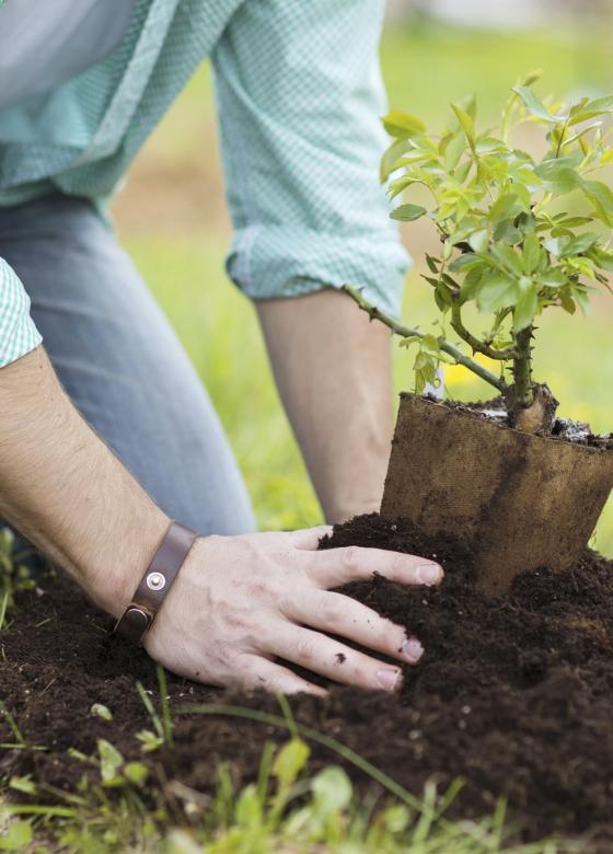 Écologie dans la commune